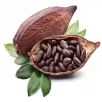 CÀ PHÊ CHOCOLATE PHIN GIẤY ĐỘC ĐÁO (kết hợp giữa Cacao và cà phê)